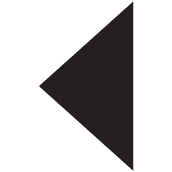 previous designer